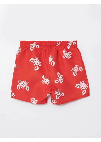 Şrt,sharky 4s modelleri