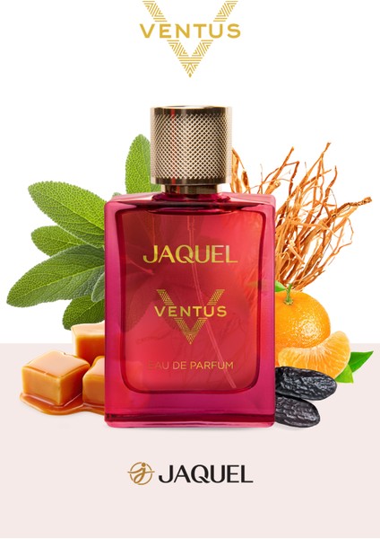 Ventus Erkek Parfümü 100 ml