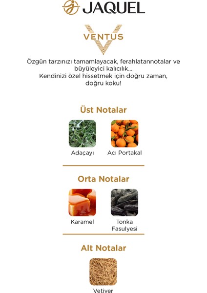 Ventus Erkek Parfümü 100 ml
