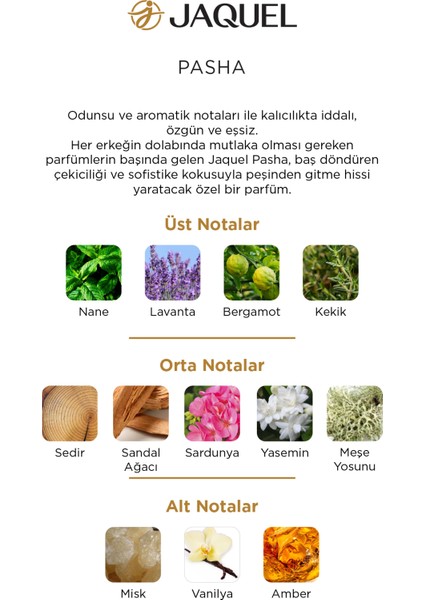 Pasha Erkek Parfümü 100ML
