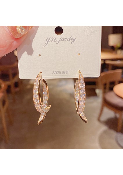 Cacaopopüler 925 Gümüş Iğne Küpe Klasik Geometrik Uzun Püskül Küpe (Yurt Dışından)