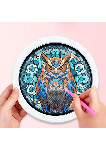 5d Elmas Taş Işleme Kiti 20 x 20 cm Yuvarlak Çerçeveli Baykuş Desen