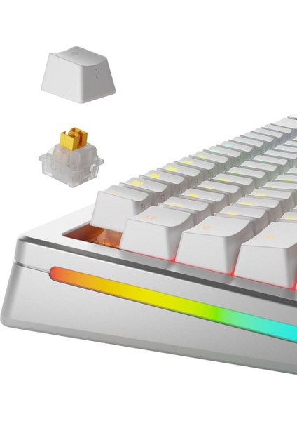 Panda Hall Effect Sessiz Mekanik Klavye Switch 36 Adet