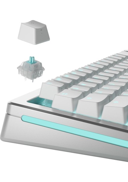 Lynx Sessiz Mekanik Yağlı Klavye Switch 36 Adet