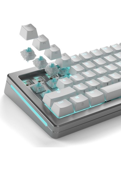Lynx Sessiz Mekanik Yağlı Klavye Switch 36 Adet