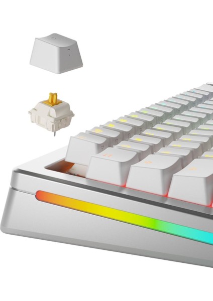 Panda Standart Yağlı Klavye Switch 36 Adet