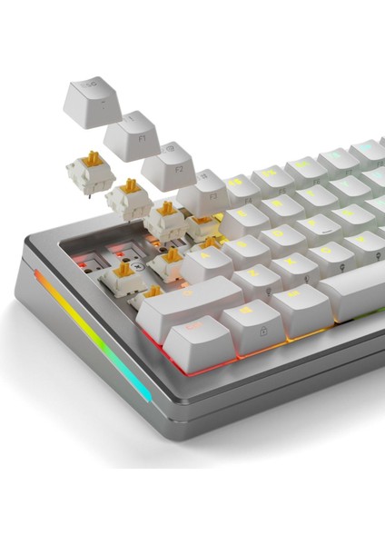 Panda Standart Yağlı Klavye Switch 36 Adet
