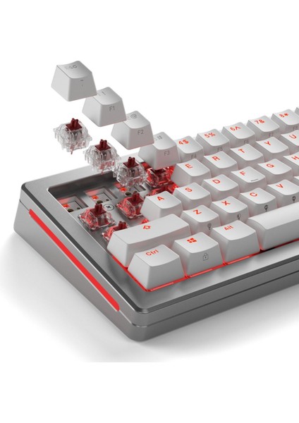 Fox Heavy Mekanik Yağlı Klavye Switch 110 Adet