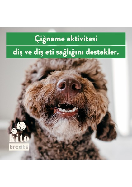 Dana Kuyruk Çiğnemelik Köpek Ödül Maması %100 Doğal, Glutensiz, Organik 100 gr