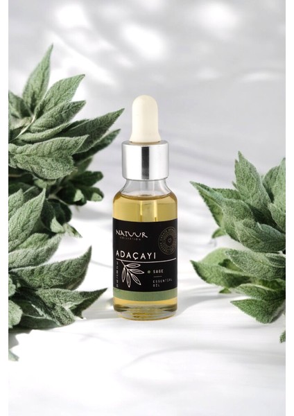 Adaçayı Esans Buhurdanlık Esansı Doğal Uçucu Yağ 20 ml modelleri