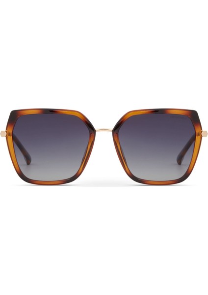 Ds 2351 C3 Kelebek Altın - Havana Kadın Güneş Gözlüğü fiyatları