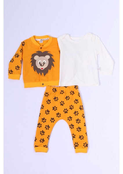 Bebek 3`lü Takım Baskılı Çıtçıtlı Ribanalı C56 fiyatları