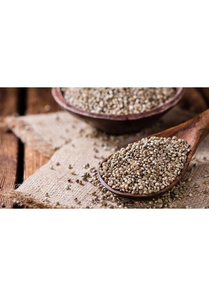 Knvr Tohumu Kavrulmuş 1000 G ℮