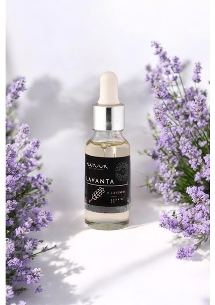 Natuur Collection Lavanta Esans Buhurdanlık Esansı Doğal Uçucu Yağ 20 ml