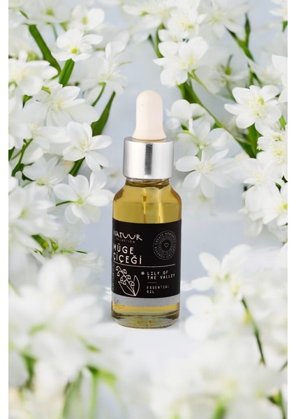 Müge Çiçeği Esans Uçucu Yağ Doğal Yoğun Koku Buhurdanlık Difüzör Esansı 20 ml