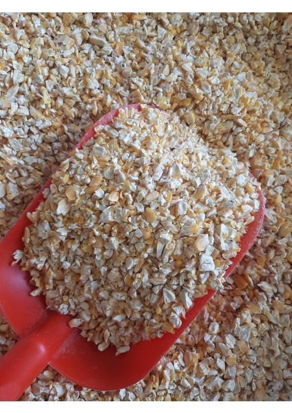 Kırık Mısır Kuş Güvercin Tavuk Yem 6 Kg