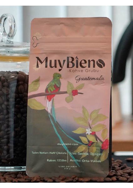 Muybieno Guatemala Huehuetenango Çekirdek Kahve modelleri
