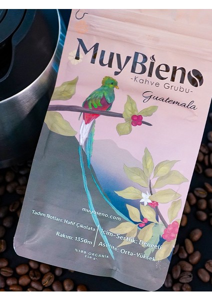 Muybieno Guatemala Huehuetenango Çekirdek Kahve indirimleri