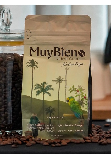 Muybieno Kolombiya Medellin Supremo Öğütülmüş Kahve
