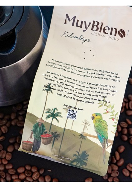 Muybieno Kolombiya Medellin Supremo Çekirdek Kahve fırsatları