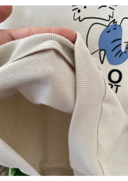 Babyaden Paris Yazılı / Kapşonlu / Cep Detaylı Şardonsuz Ince Mevsimlik Erkek Çocuk Okul Eşofman modelleri