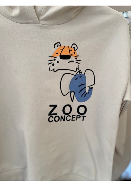 Babyaden Paris Yazılı / Kapşonlu / Cep Detaylı Şardonsuz Ince Mevsimlik Erkek Çocuk Okul Eşofman indirimleri