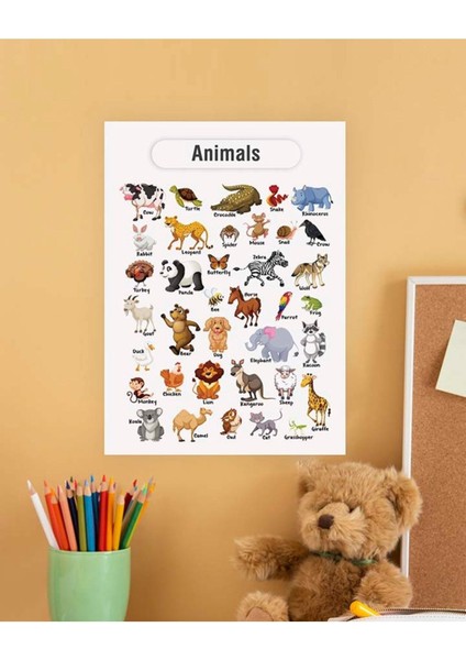 Animals-Hayvanlar Ingilizce Çocuk Eğitim Tekli Pvc Poster 30X42 cm