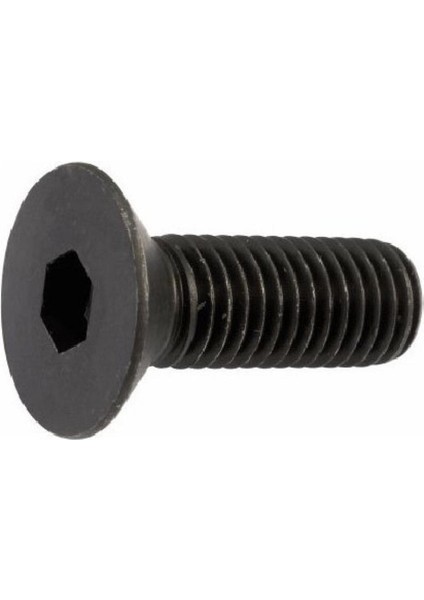 M3 x 12 Havşa Başlı Imbus Civata (250 Adet)