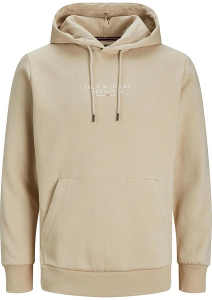 12216335 Jprbluarchie Sweat Hood Noos Erkek Sweatshirt modelleri