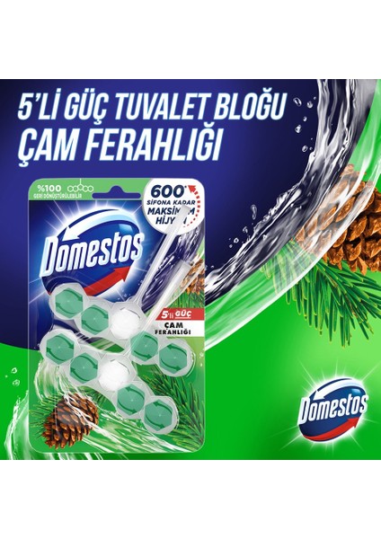 Wc Blok 5'li Güç Tuvalet Bloğu Çam Ferahlığı Maksimum Hijyen 100 gr x 2 Adet