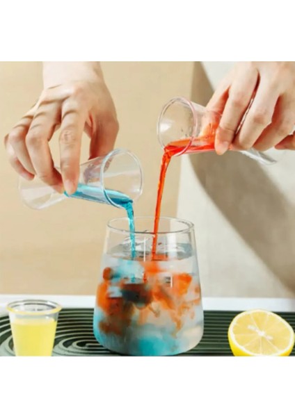 Kokteyl Seti 2li Jigger 2/4 cl Kokteyl Ölçeği Polikarbon ve Düz Kokteyl Kaşığı Karıştırıcı