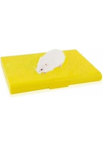 Carno Soğutucu Buz Torbalı Hamster Yatağı 14X10X1 cm - Petshopundan