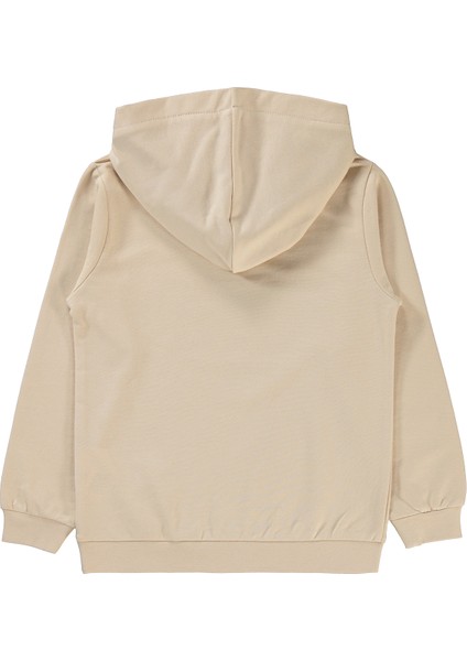 Erkek Çocuk Sweatshirt 103 Yaş Taş fiyatları