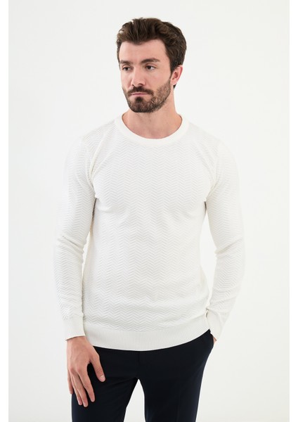 Desenli Ekru Slim Fit Bisiklet Yaka Erkek Triko Kazak