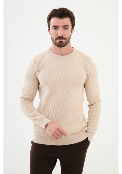 Desenli Bej Slim Fit Bisiklet Yaka Erkek Triko Kazak