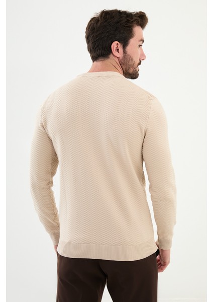Desenli Bej Slim Fit Bisiklet Yaka Erkek Triko Kazak modelleri