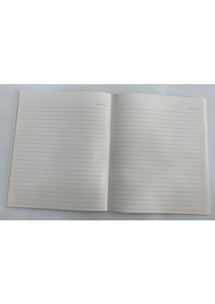 Astronot Ince Kare Defter