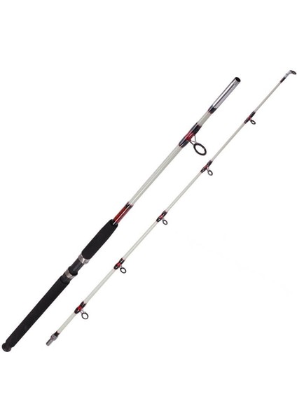 Arda 1003 240 cm 100-200G Aksiyonlu Vidalı Tekne Kamışı