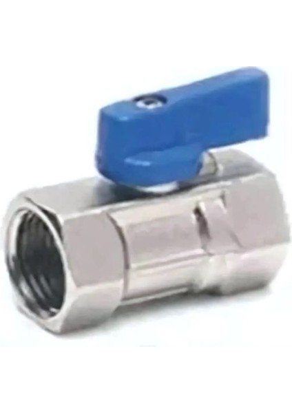 Dişi Dişi Vana 3/4