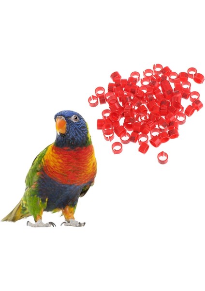 Pembe Tarzı Halka Taşıyıcı Güvercin Eğitim Malzemeleri Bacak Numaralı Kuş Bantları Satın Al (Yurt Dışından) modelleri