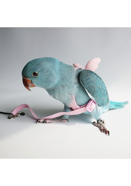 Kırmızı Stil M Beden Güvercin Papağan Kuş Esnek Tasma Küçük Orta Büyük Kuşlar Için Macaw Budgie Muhabbet Kuşu Dış Mekan Evcil Papağan Uçma Tasma Ipi (Yurt Dışından) modelleri