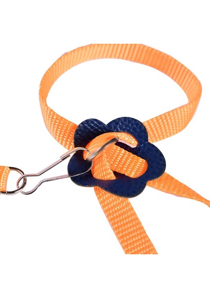 Pembe Tarzı Ayarlanabilir Papağan Kuş Tasma Dış Mekan Eğitim Ipi Anti Isırma Uçan Bandı (Yurt Dışından) indirimleri