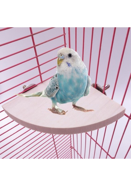 L 17X17CM Stili Fan Şekilli Kuş Papağan Ahşap Stand Raf Kuş Kafesi Aksesuarı Devekuşu Için Perçin Küçük Hayvan Sincap Hamster Standı Kurulu (Yurt Dışından) modelleri