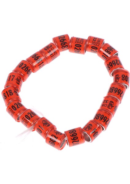 Rd Stili Kelime Küpe Dayanıklı Kuş Yüzüğüyle Çok Renkli Güvercin Ayak Yüzüğü Kuş Araçları Yüksek Kaliteli (Yurt Dışından)