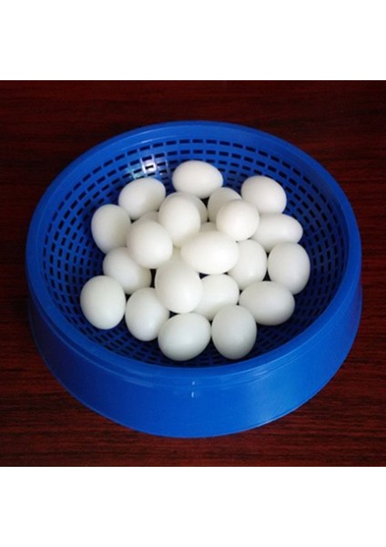 5 Adet Güvercin Yumurtası Taklit Plastik Simülasyon Yumurta Üreme Malzemeleri Için - L4MB (Yurt Dışından) fiyatları