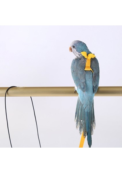 Mavi Stil Xl Beden Hafif Kuş Askıları Papağan Uçan Halat Dışarı Yürüyüş Için Taşınabilir Evcil Ürün Anti-Isırma Takımı Kanatlı Sevimli L69B (Yurt Dışından) fırsatları