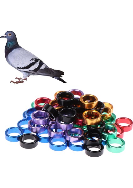 Mavi Stil 8mm Kuşlar Alüminyum Ayak Halkaları Güvercin Dış Mekan Uçuş Eğitim Yarışı Tanımlama Etiketi Kuş Eğitim Davranış Aracı (Yurt Dışından) modelleri