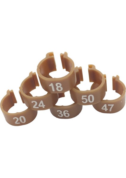 Kumral Tarzı 10MM Dijital Kuş Ayak Yüzüğü Güvercin Eğitim Aracı Renkler Tanımlama Yüzüğü Kuş Malzemeleri Papağan Ayak Klips Yüzüğü (Yurt Dışından)