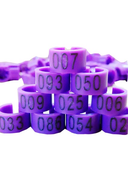Mor Tarzı Halka Taşıyıcı Güvercin Eğitim Malzemeleri Bacak Numarası Kuş Yüzükleri - (Yurt Dışından)