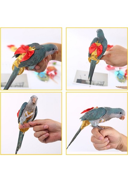 C Stili Xs Beden Sevimli Papağan Bebek Kıyafeti Renkli Baskılı Kakadu Güvercin Evcil Kuşlar Uçuş Takımı Yıkanabilir Küçük Orta Büyük Kuş Bezi (Yurt Dışından) fırsatları